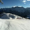 golm_774